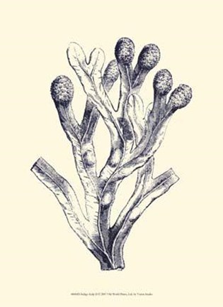 Framed Indigo Kelp II Print