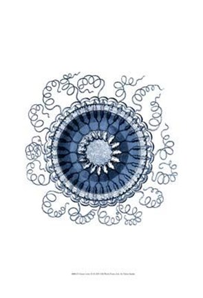 Framed Ocean Gems III Print