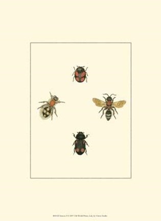 Framed Insecte I Print