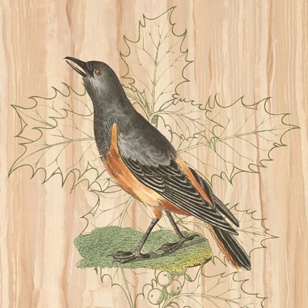 Framed Treetops II Print