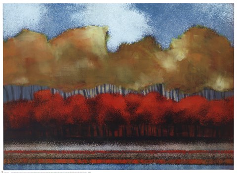 Framed Fallen Sky IV Print