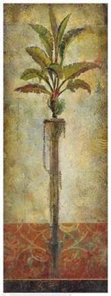 Framed Echoes Of Cadiz II Print