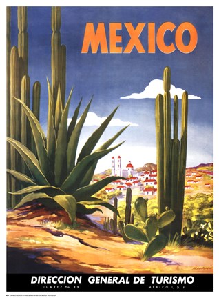 Framed Cacti, Mexico Print