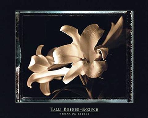 Framed Bermuda Lilies Print