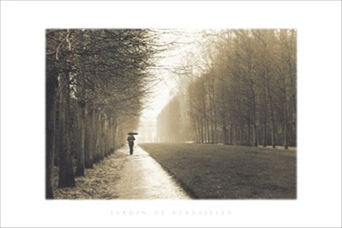 Framed Jardin De Versailles Print