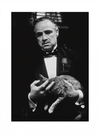Framed Godfather (Brando and Cat) Print