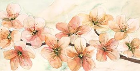 Framed Ciliegio in Fiore I Print