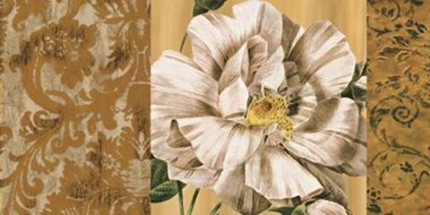 Framed Heirloom I Print