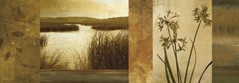 Framed Laguna I Print