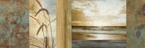 Framed Del Mar I Print