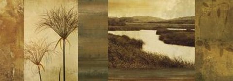 Framed Laguna II Print