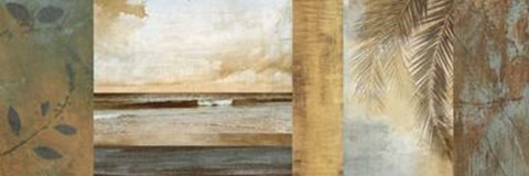 Framed Del Mar II Print