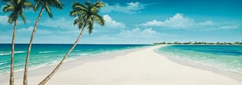 Framed Tropical Lagoon Print