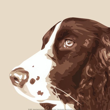 Framed Springer Spaniel Print