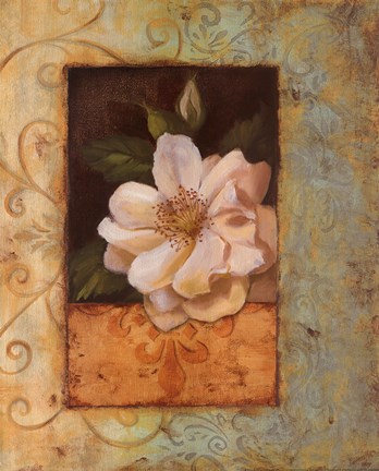 Framed Antique Rose II - Special Print