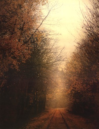 Framed Road Of Mysteries I Print