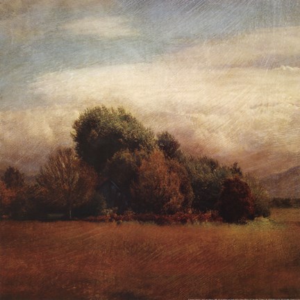 Framed Autumn Horizon I Print
