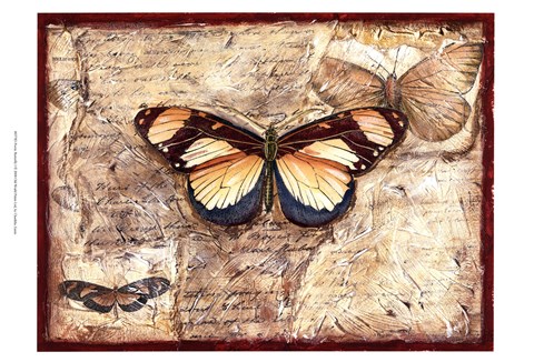 Framed Poetic Butterfly I Print
