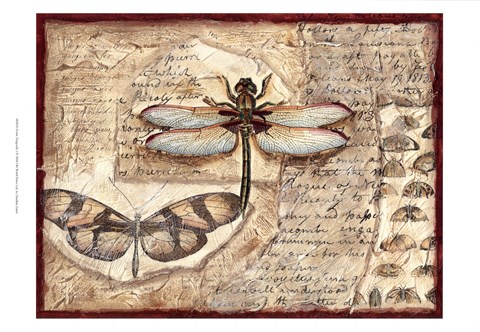 Framed Poetic Dragonfly I Print