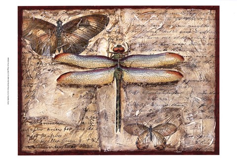 Framed Poetic Dragonfly II Print