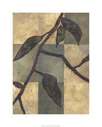 Framed Tortoise Shell II Print