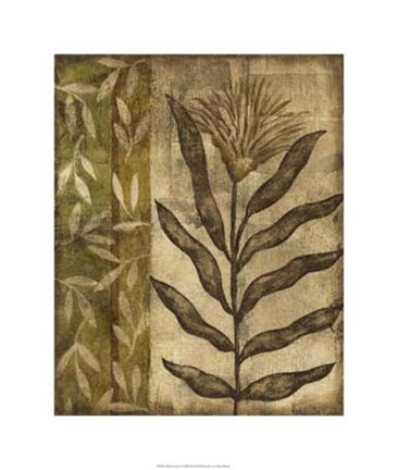 Framed Plant Exotica I Print