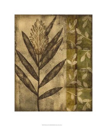 Framed Plant Exotica II Print