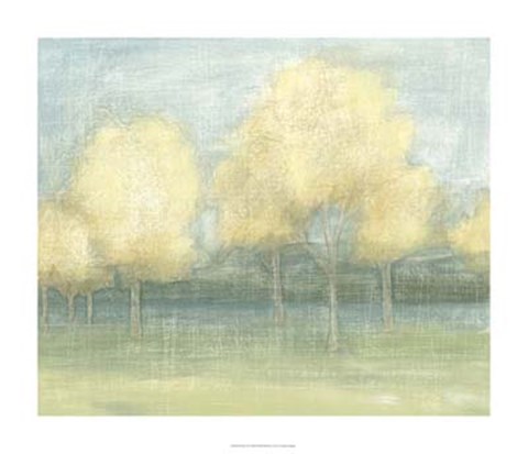 Framed Solace II Print