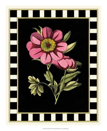 Framed Pink Peony III Print