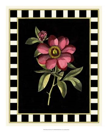 Framed Besler Pink Peony IV Print