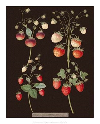 Framed Strawberries Print