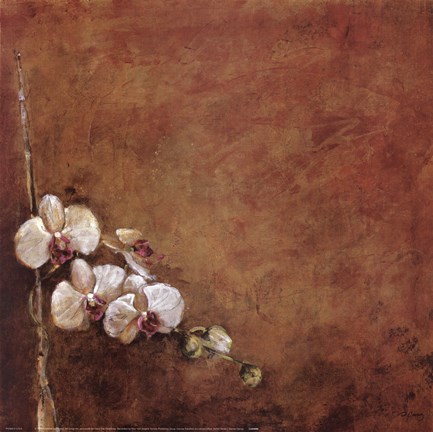 Framed Orchid Series I (Simplicity I) Print