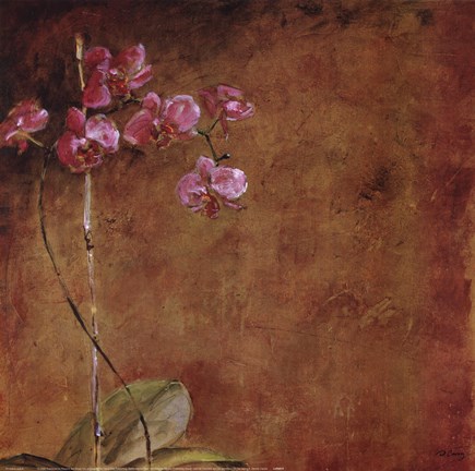 Framed Orchid Series II (Simplicity II) Print