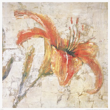 Framed Sorbet Lily I Print