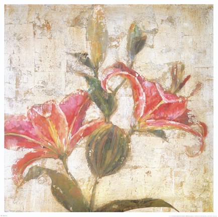 Framed Sorbet Lily II Print