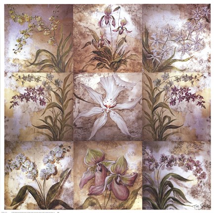 Framed Orchid Suite Print