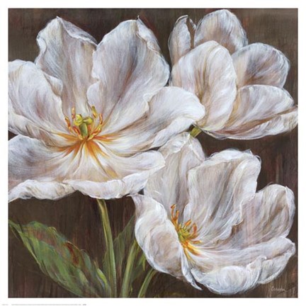 Framed Snowfire Print