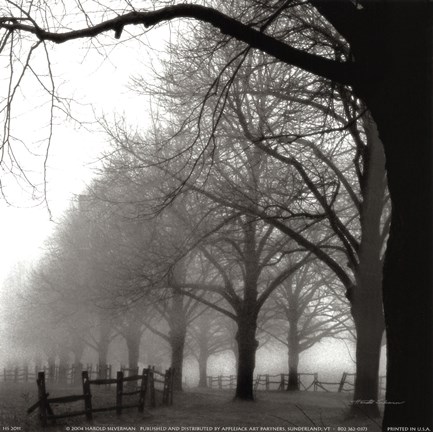 Framed Black and White Morning Print