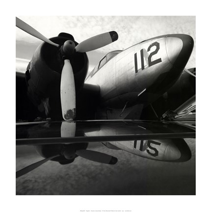 Framed Propeller Print