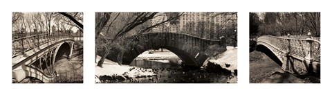 Framed Central Park Bridges Print