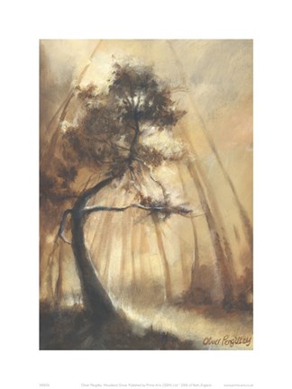 Framed Woodland Grove Print