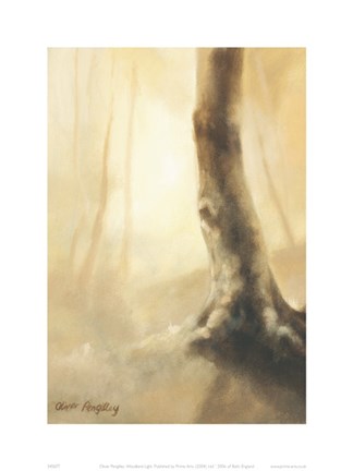 Framed Woodland Light Print