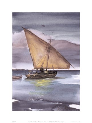 Framed Contrasting Reflection Print