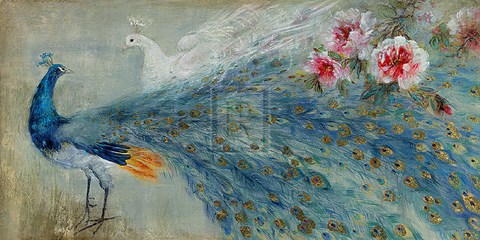 Framed Peacocks Print