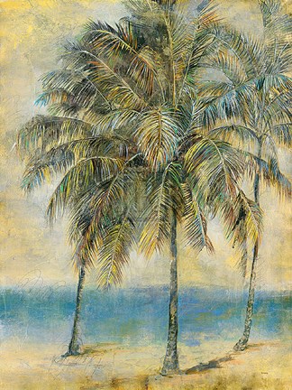 Framed Palm Hammock II Print