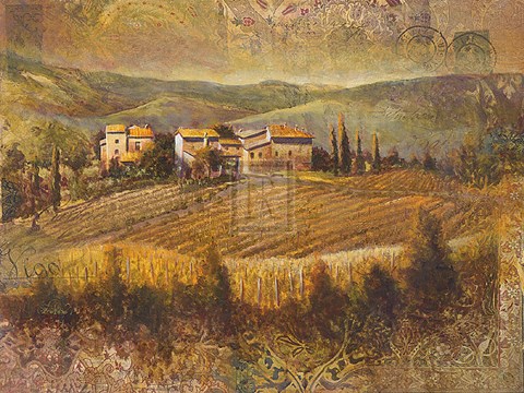 Framed Chianti Land I Print