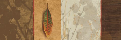 Framed Leaf Song Print