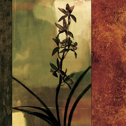 Framed Mesmerized I Print