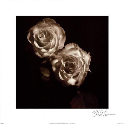 Framed Circus Roses Print