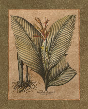 Framed Valencia II Print